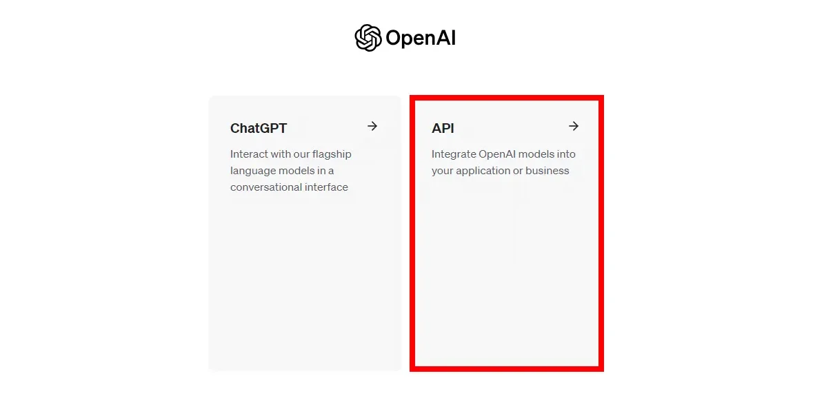 ChatGPT and API options